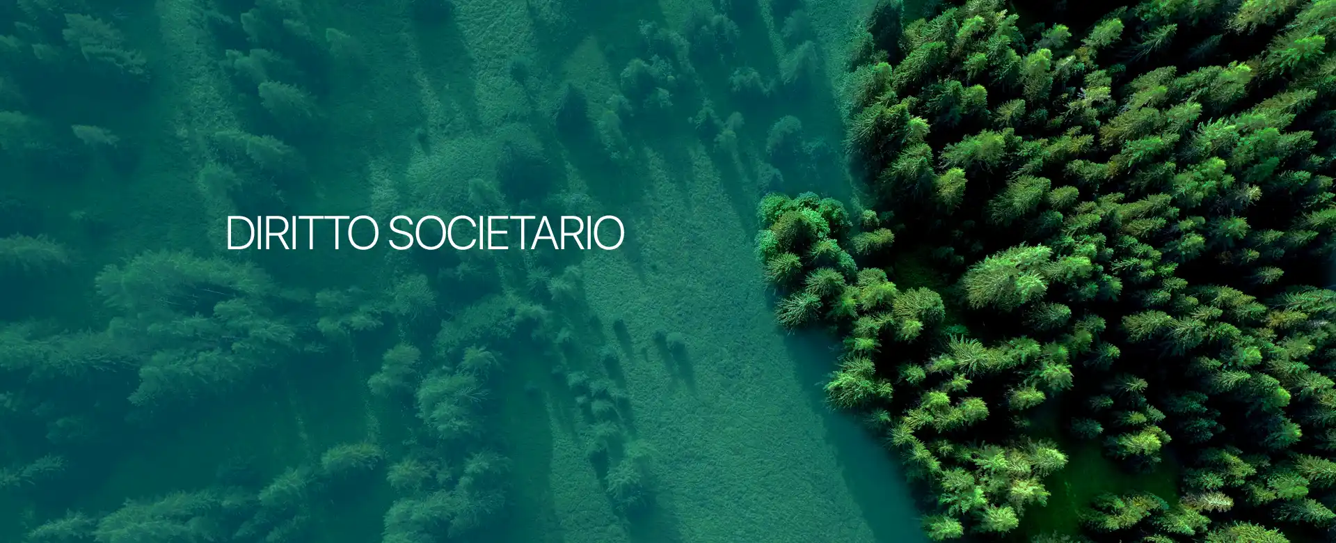 Diritto societario