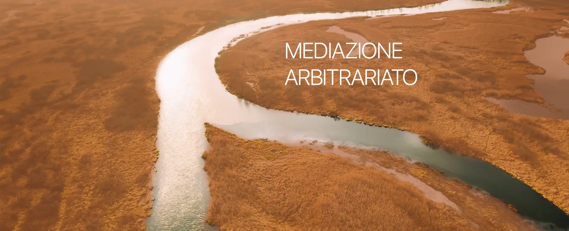 Mediazione e Arbitrariato
